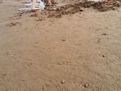 -青岛第三海水浴场