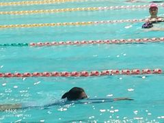 -重庆市奥林匹克体育中心-游泳跳水馆