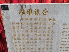 -红螺寺