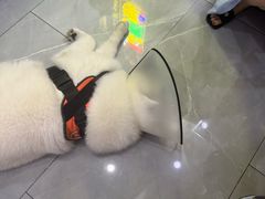 -中国体育彩票(竞彩店)