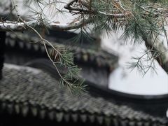 -拙政园