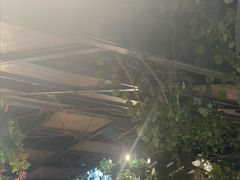 -龙抄手食府(浣花北路店)