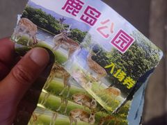 -鹿境梅花鹿生态园区