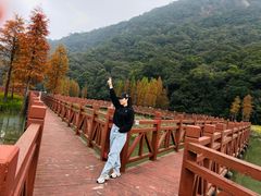 -广州市石门国家森林公园