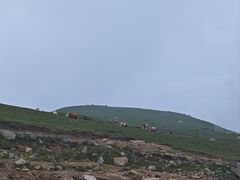 -灵山