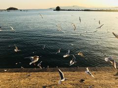 -老味道民宿(栈桥店)