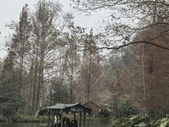 -桂林古东瀑布景区