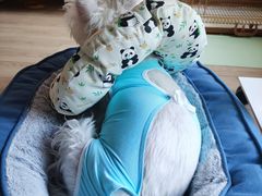 -达爱动物医院·犬猫分区·CT·复杂眼科(远洋山水分院)