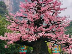 -河南宝泉旅游区