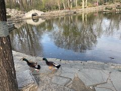 -北京航空航天大学-图书馆