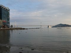-广安大桥