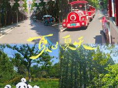 -日照海滨国家森林公园
