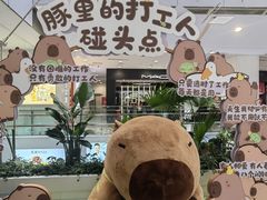 -凯德MALL(西直门店)