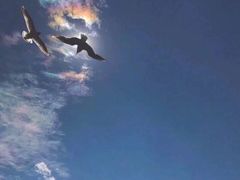 -知味观(湖滨总店)