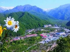 -青峰峡国家森林公园