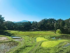 -四季酒店下午茶