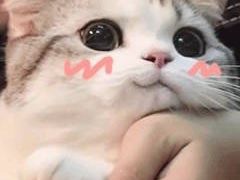 -老船坞餐厅(北京亚洲大酒店 )