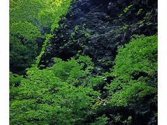 -野三坡百里峡景区