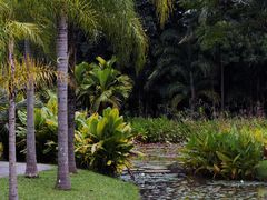 -中国科学院西双版纳热带植物园