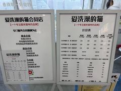 -爱洗澡的猫(望京店)