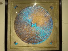 -上海昆虫博物馆