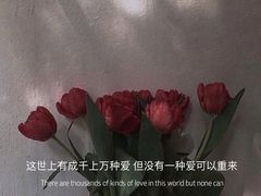 -麦当劳(文化西路店)