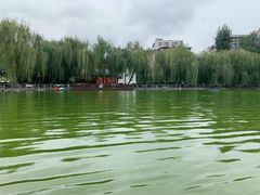 -莲湖公园