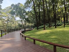 -云溪植物园