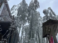 -江南天池高山汤泉城