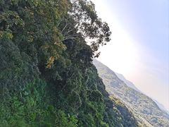 -广州市帽峰山景区