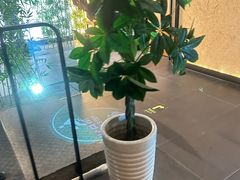 -新紫霞养生·影院足道·SPA(金山区店)