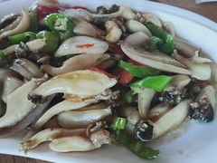 -坛南湾阿强农家乐.海鲜大排档老字号(福州地标美食店)