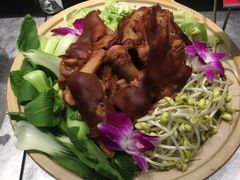 -邵年鸽(杨庄店)