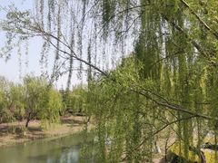 -苏州上方山国家森林公园
