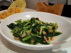 菌菇青菜-乾园(天河城店)