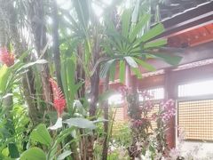 -新加坡佛牙寺龙华院