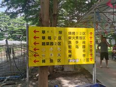 -新塘水果乐园(东洲大道店)