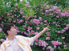 -天鹅湖体育公园