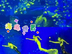 -正佳极地海洋世界