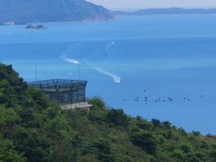 -西涌国际滨海旅游区