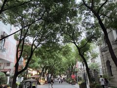 -巴公房子