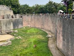 -南昌动物园