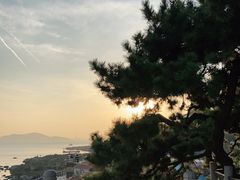 -青岛海底世界-水族馆