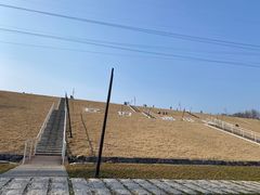 -佛手湖郊野公园