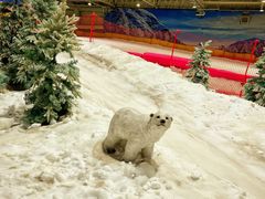 -赤马湖体育滑雪