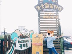 -柴犬高等学院·狗咖·柴犬售卖·宠物训练