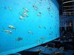 -瑞德姆美人鱼海底演艺主题餐厅(亚龙湾店)