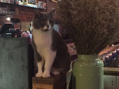 -MIKAKU(万达广场上海宝山店)