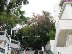 -中山公园(石岐街道)