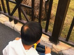 -灵玲国际马戏城